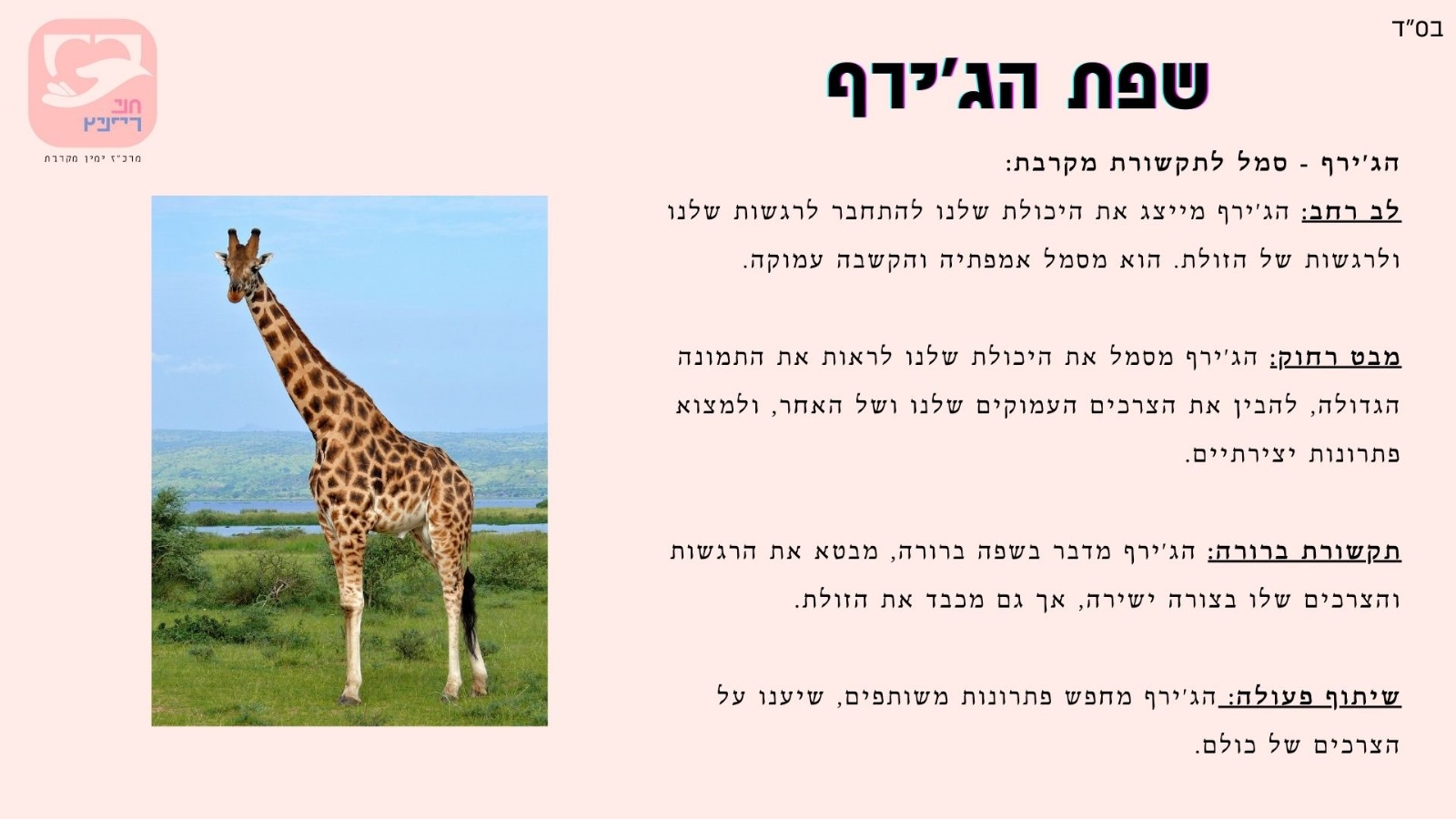 הצצה לתכני הקורס 8