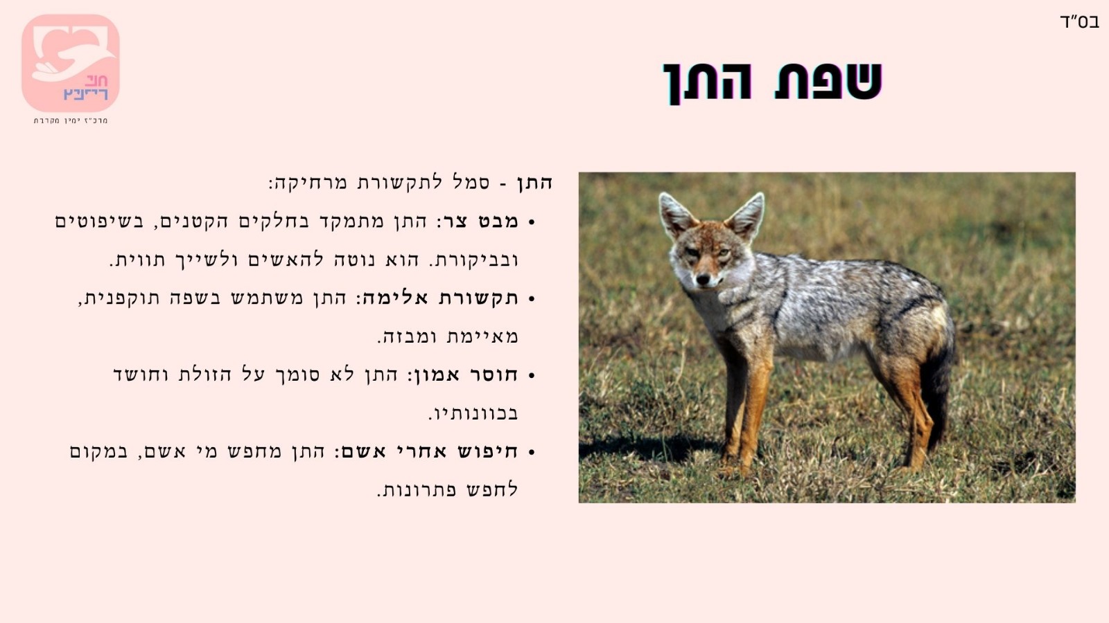 הצצה לתכני הקורס 9